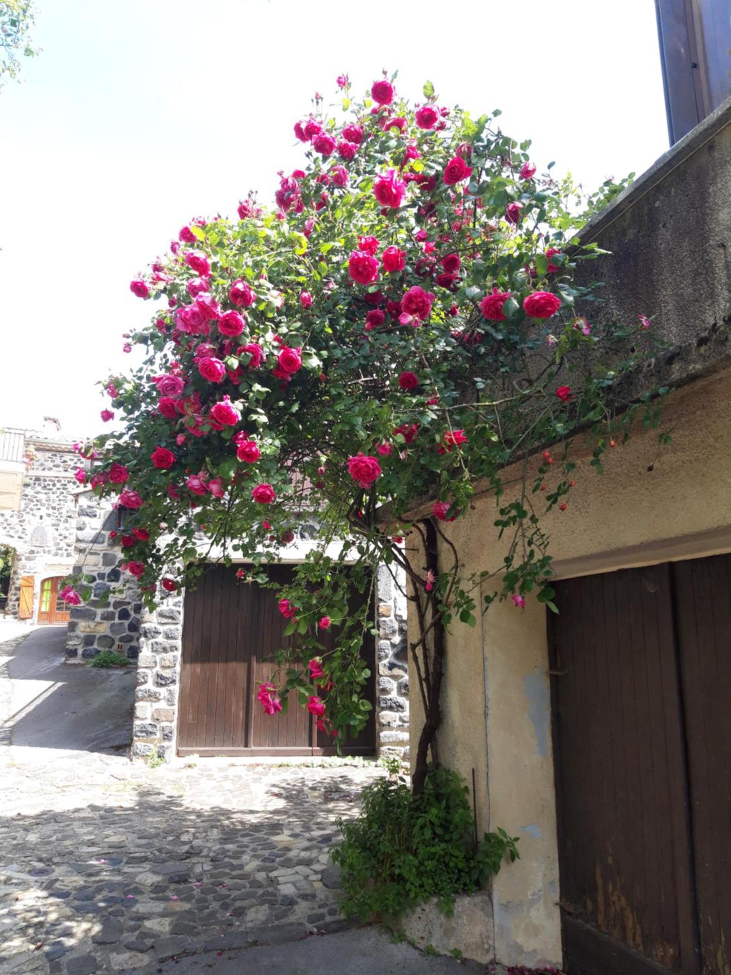 L'Ardétente Lussas Esterno foto
